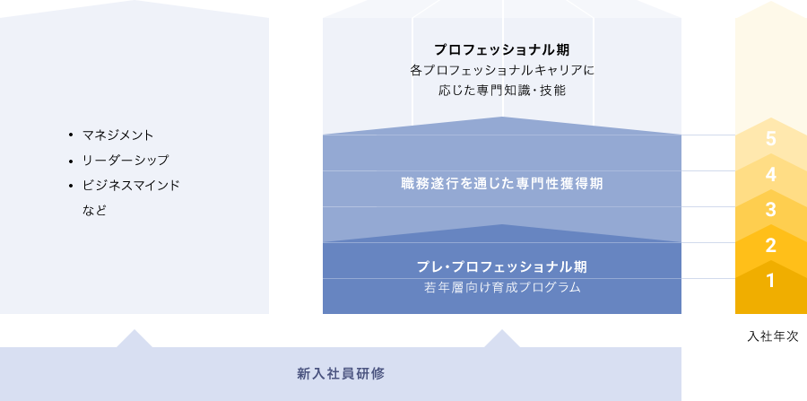 教育・育成体系図